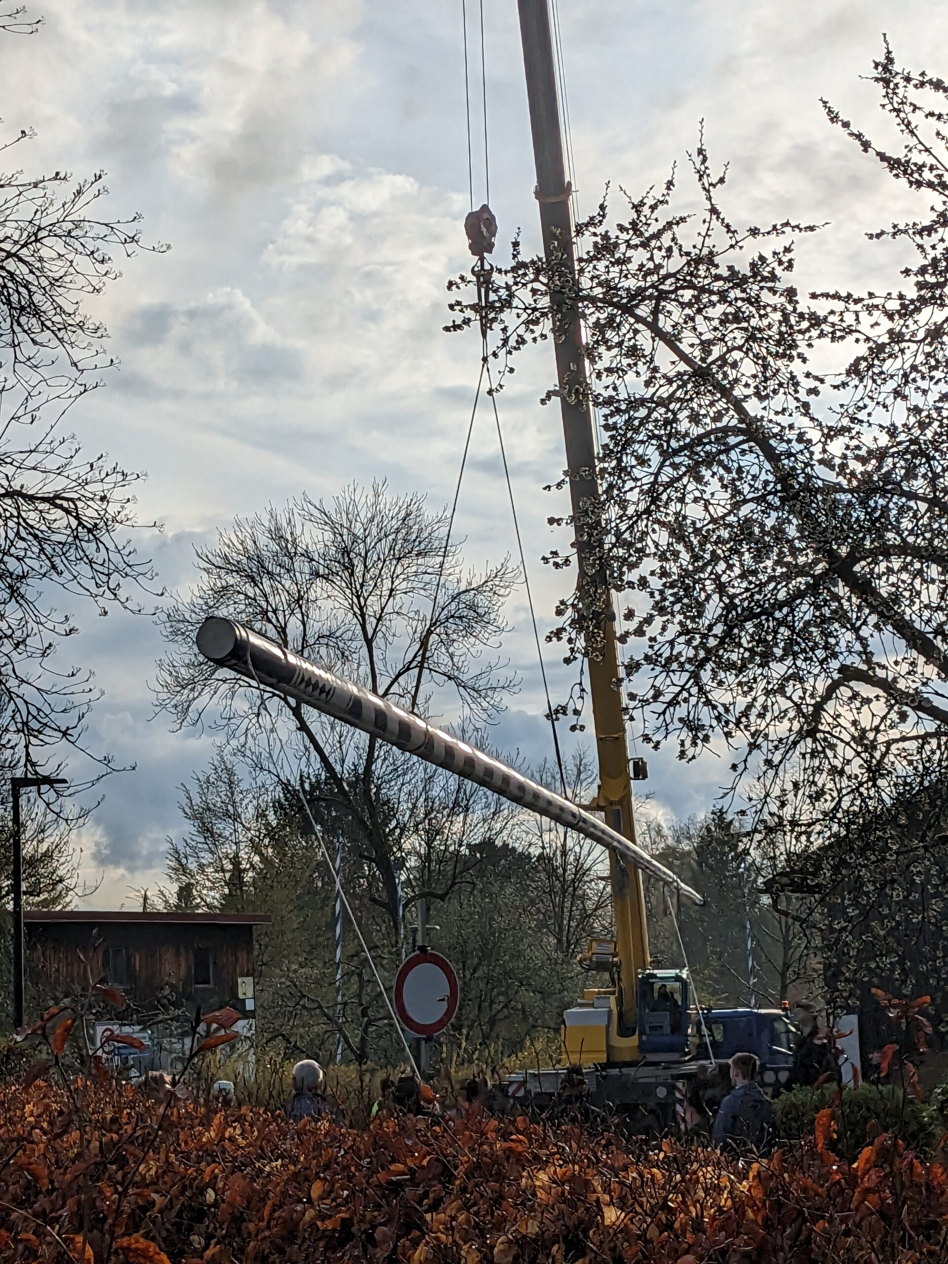 Der Maibaum Ist Auf Dem Weg Wangen Bei Starnberg